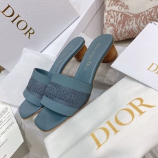 Christian Dior Slippers